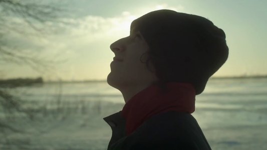 La bronca
