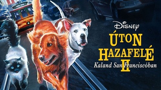 Homeward Bound II: Lost in San Francisco