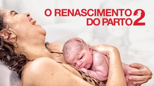 O Renascimento do Parto 2