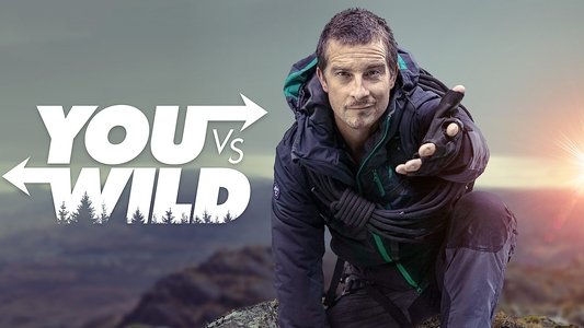 You vs. Wild