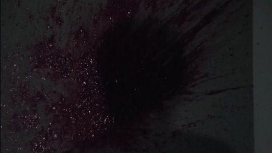 XX 美しき機能
