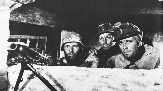 Hunde, wollt ihr ewig leben