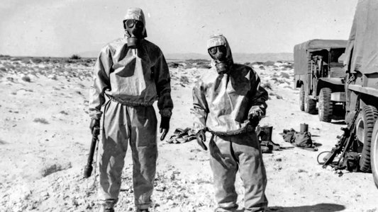 Algérie, Sections Armes Spéciales