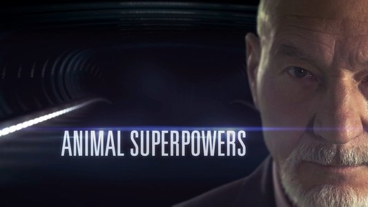 Animal Superpowers