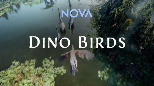 Dino Birds