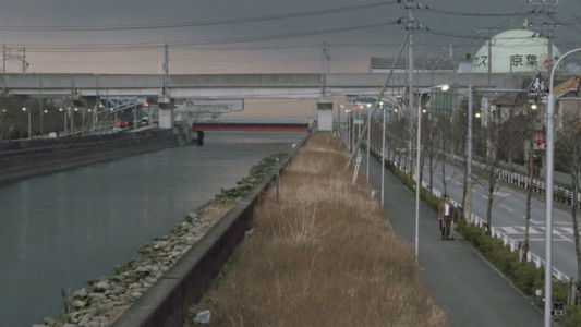 痴漢電車人妻篇　奥様は痴女