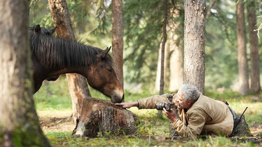 Wild Horses, the Rockies and Me