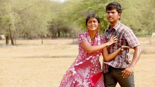 முந்திரிக்காடு