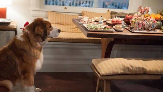 Love the Coopers