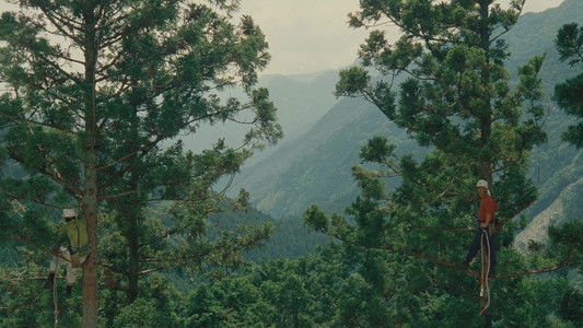 WOOD JOB! ～神去なあなあ日常～