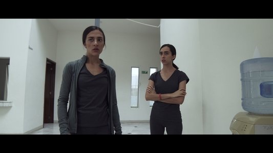 Regresa