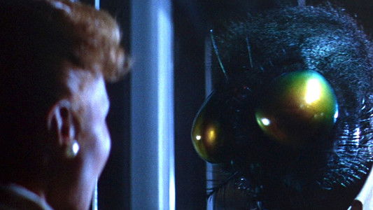 The Fly
