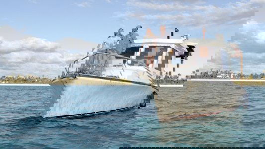 Dolphin Island