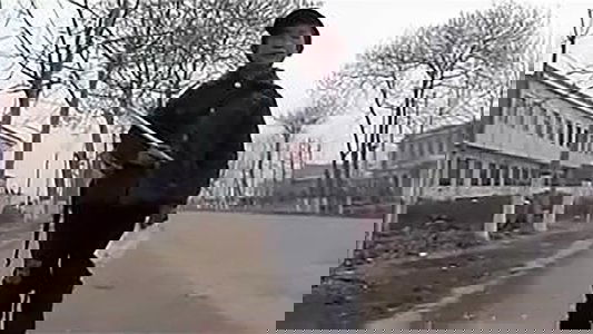 紫陀螺