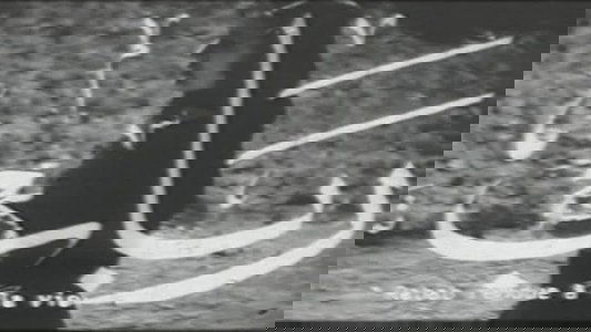رباب