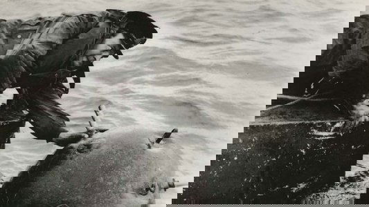 Above Us the Waves