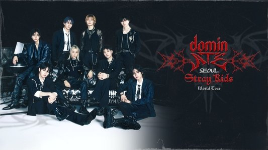 Beyond Live — Stray Kids World Tour dominATE in SEOUL