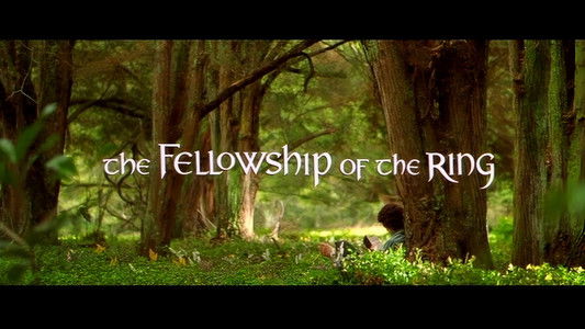 The Lord of the Rings: The Fellowship of the Ring