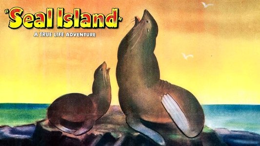 Seal Island