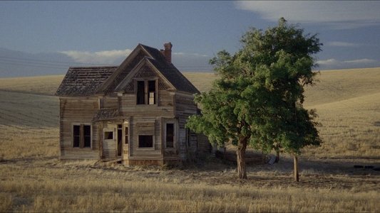 My Own Private Idaho