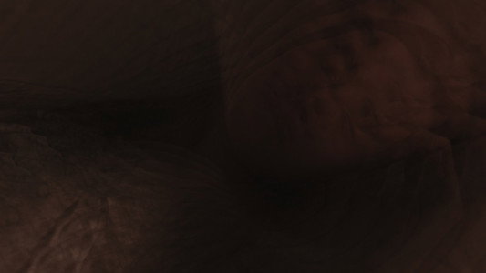 The Somnambulist