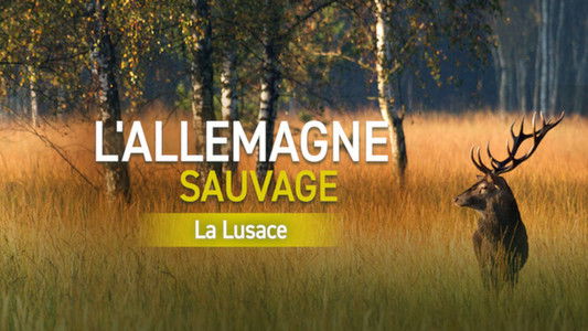 Wildes Deutschland: Die Lausitz