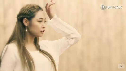 桃花侠大战菊花怪