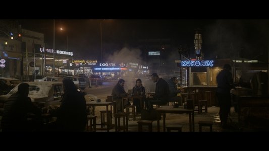 Anadolu Leoparı