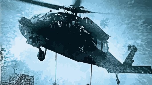 Black Hawk Down