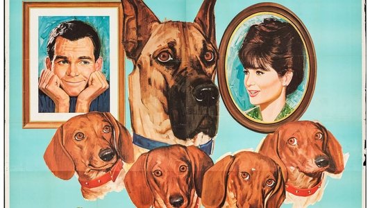 The Ugly Dachshund