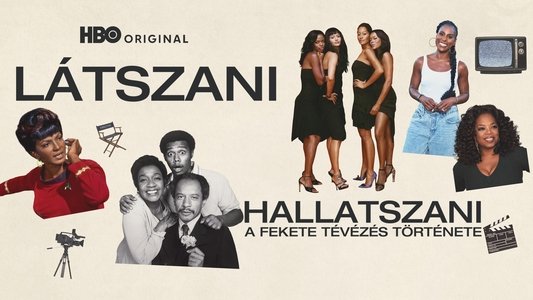 Seen & Heard: The History of Black Television