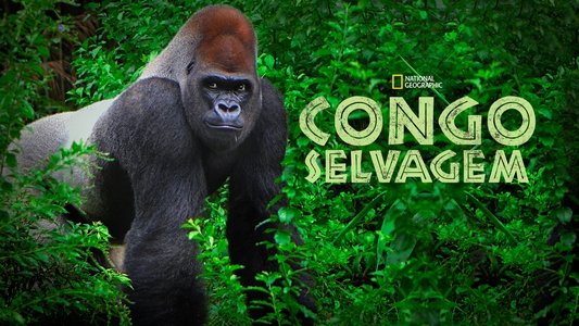 Wild Congo