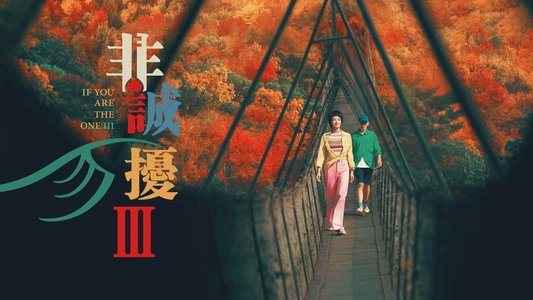 非诚勿扰 3