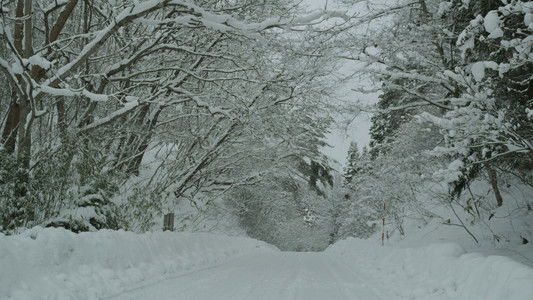 リトル・フォレスト 冬・春