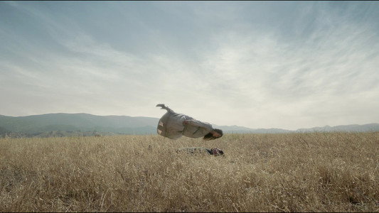 The Revenant