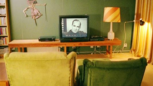 Trespassing Bergman