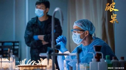 破案之致命追凶
