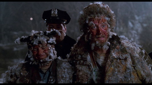 Home Alone 2: Lost in New York