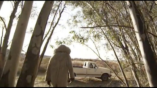 The Bunnyman Massacre