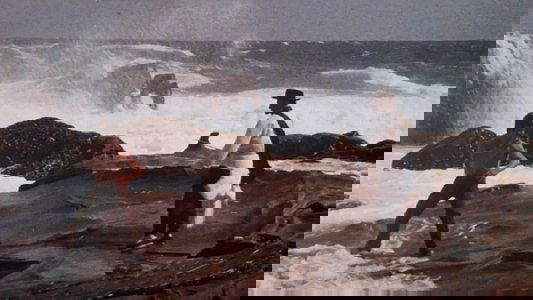 天皇巨星