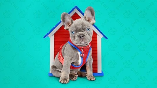 The Dog House