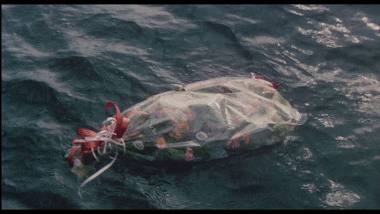 天国にいちばん近い島