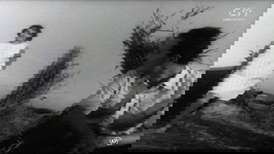 Țărmul n-are sfârșit