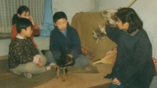 年轮