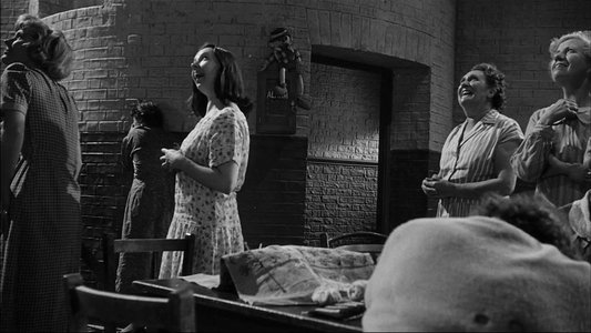 Suddenly, Last Summer