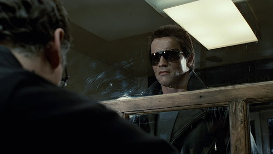 The Terminator