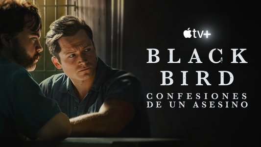 Black Bird