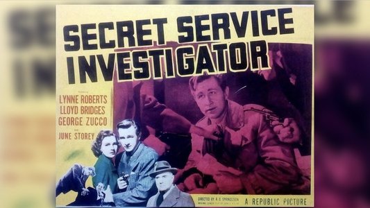 Secret Service Investigator