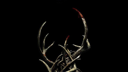 Antlers