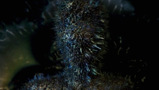 Annihilation